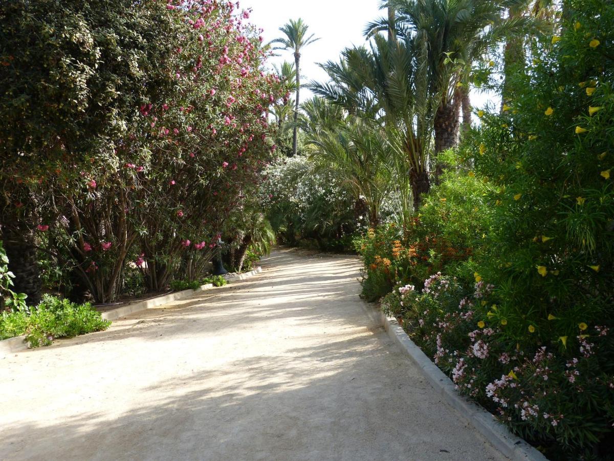 אליקאנטה Very Best Flat Ust 800M Postiguet-Beach מראה חיצוני תמונה